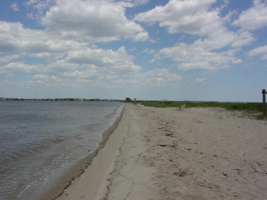 Toms River